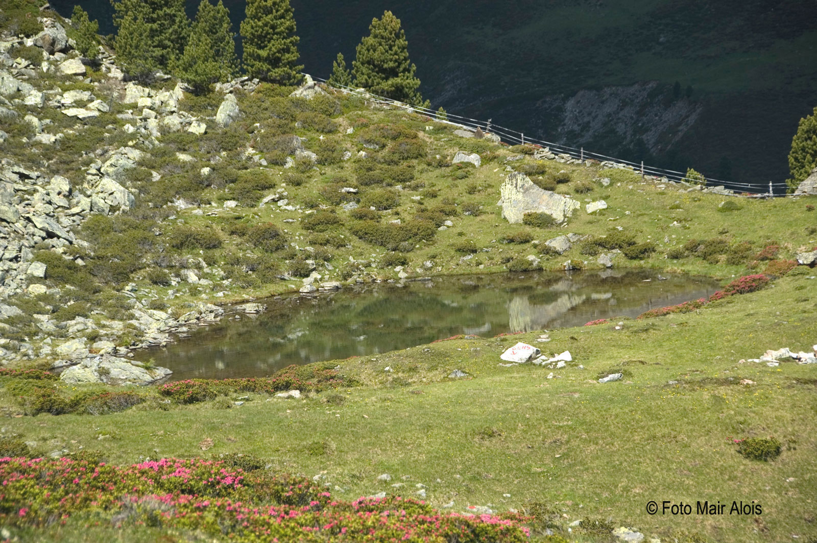 bergsee.jpg